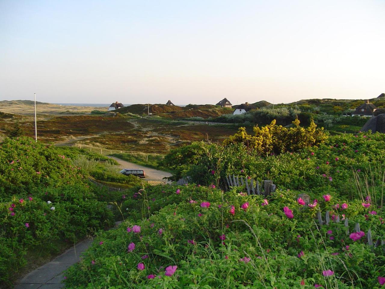 Giebelhaus Frida - Sylt, Westerland Exteriör bild